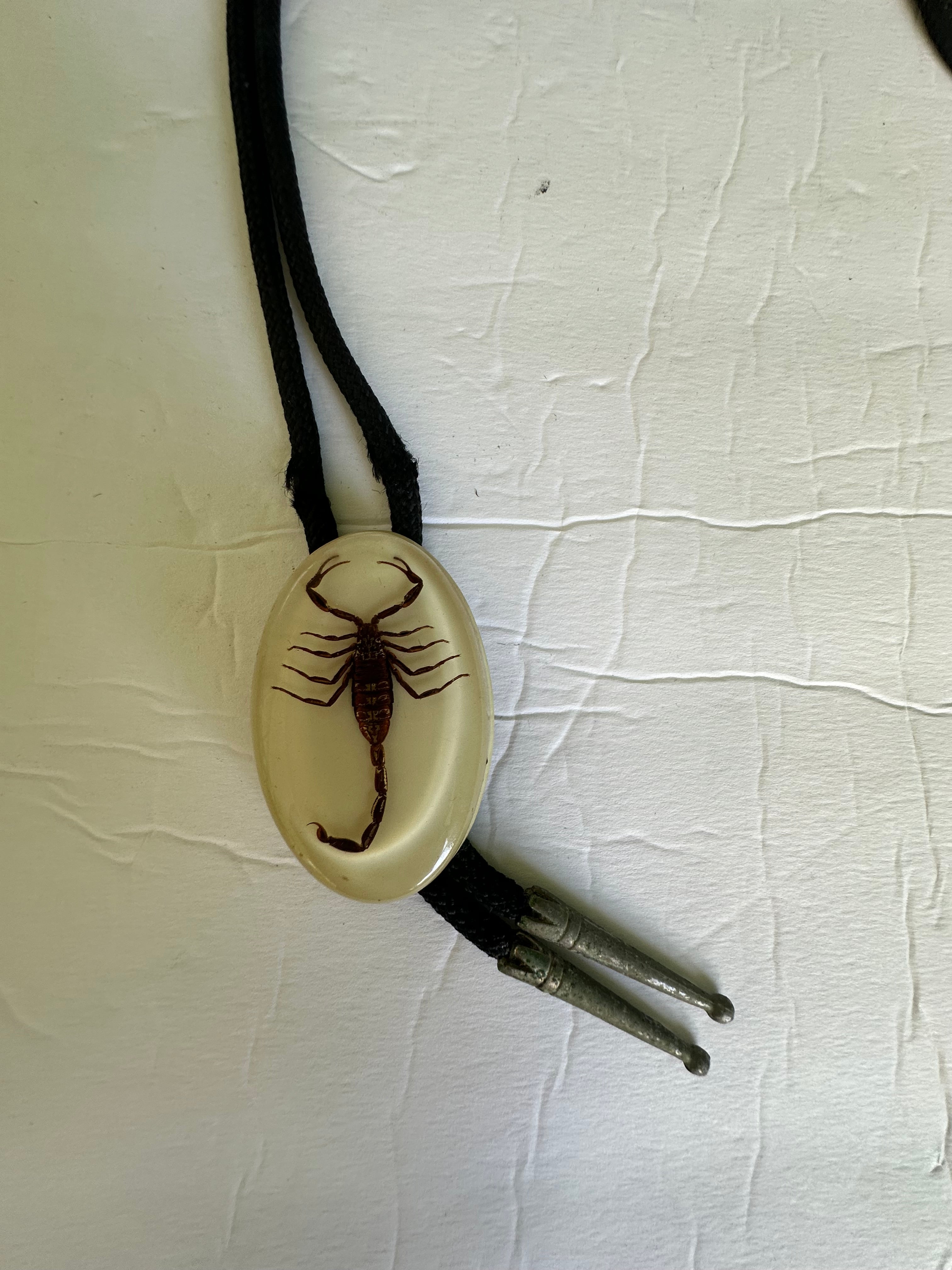 Vintage Real Scorpion Bolo Tie Acrylic Lucite Oval 2.25"x1.5" Braided Black Cord Western Statement