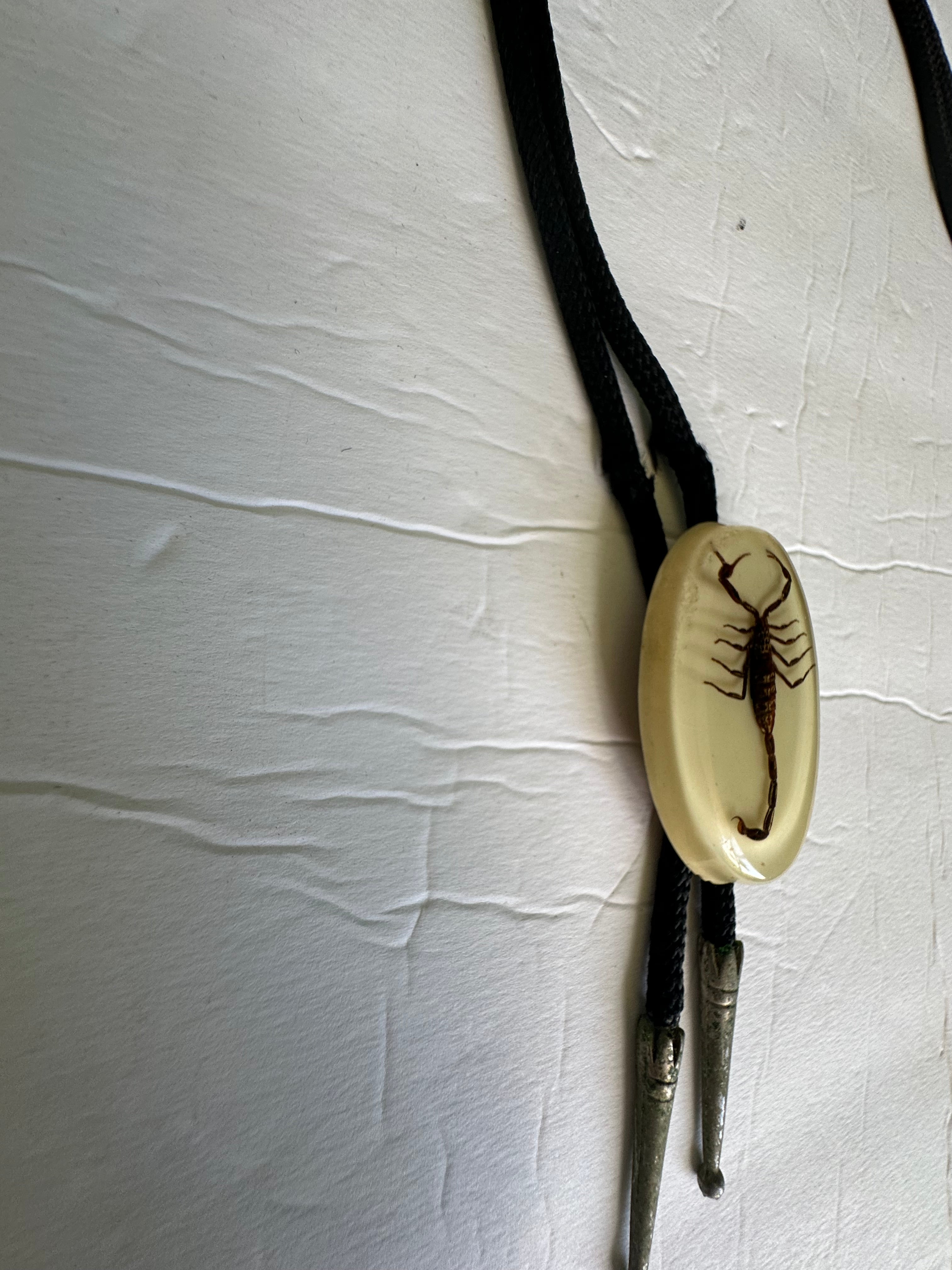 Vintage Real Scorpion Bolo Tie Acrylic Lucite Oval 2.25"x1.5" Braided Black Cord Western Statement