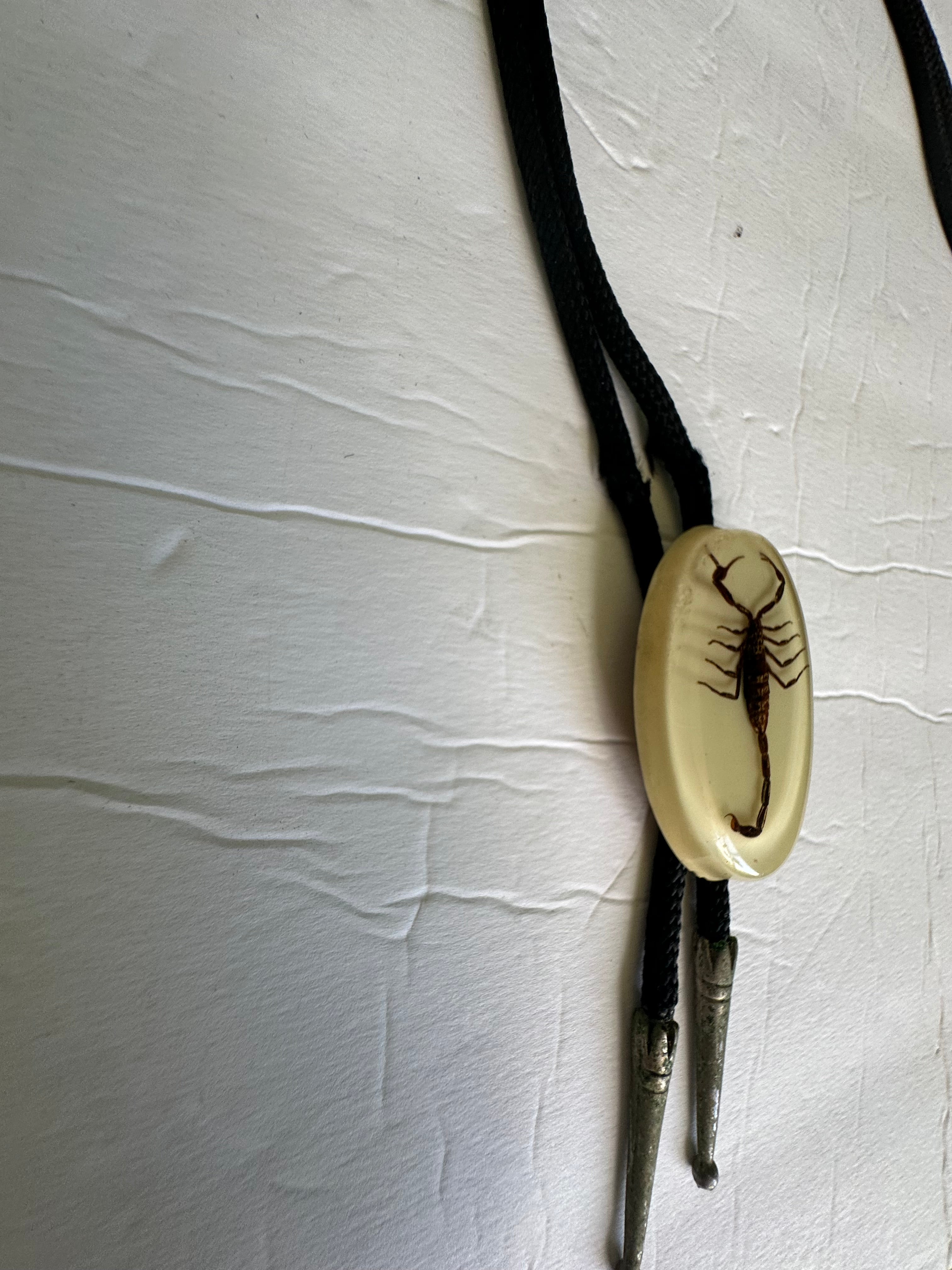 Vintage Real Scorpion Bolo Tie Acrylic Lucite Oval 2.25"x1.5" Braided Black Cord Western Statement